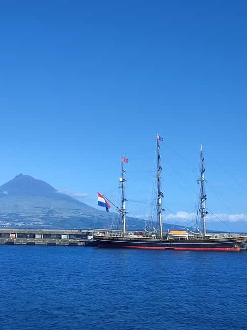 Faial Island: Full Day Tour - Nature & Culture - Who Is This Tour Perfect For?