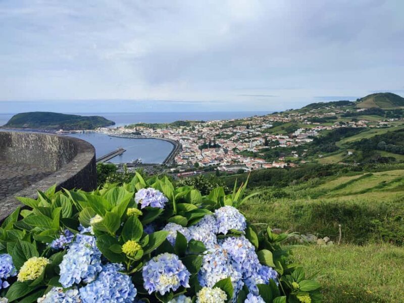Faial Island: Full Day Tour - Nature & Culture - The Sum Up