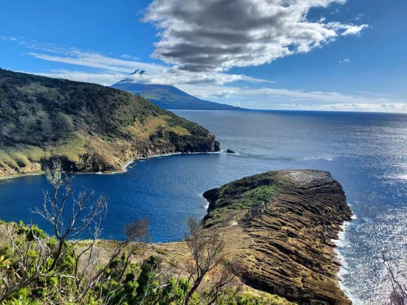 Faial Island: Full Day Tour - Nature & Culture - FAQ