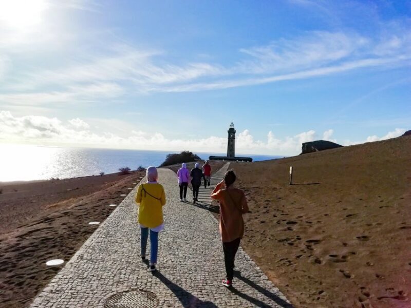 Faial Island: Half-Day Tour Nature Highlights - Exploring the Highlights of Faial on a Half-Day Tour