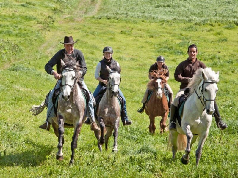 Faial Island: Horseback Riding (3 hrs - Experienced Riders) - What Makes This Horseback Riding Tour Stand Out?