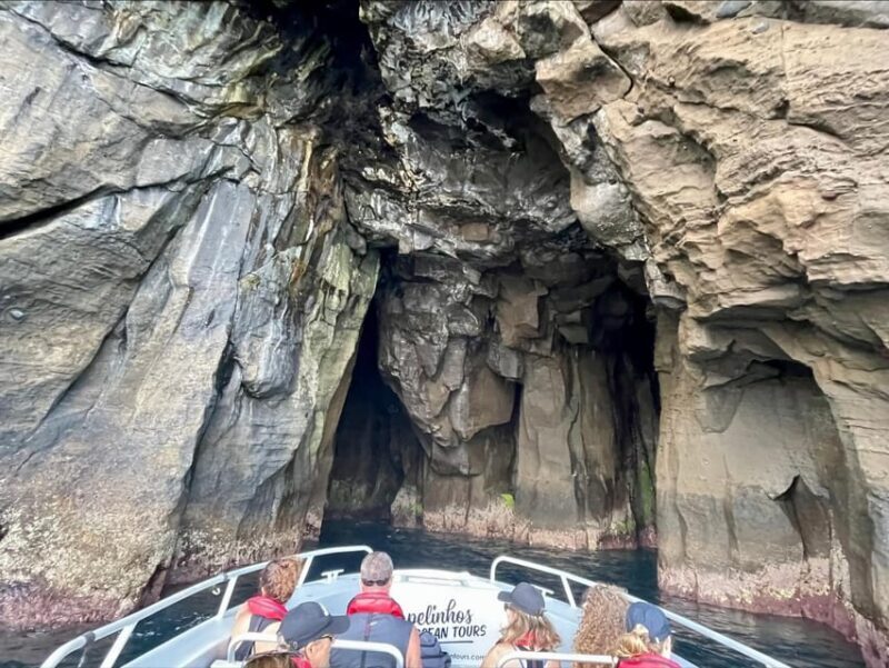 Faial Island: Unique boat tour to the Capelinhos volcano - A Deep Dive into the Faial Coastline: What the Tour Offers