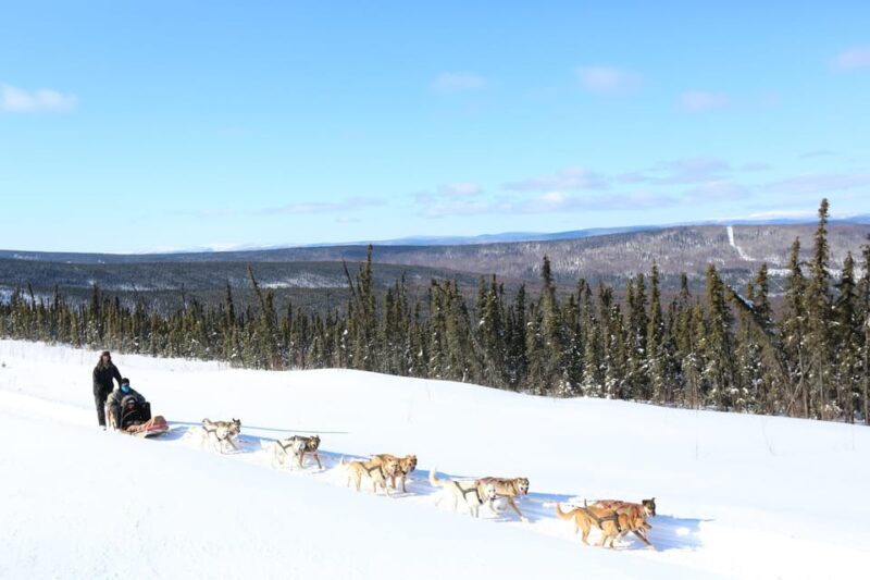 Fairbanks: 1-Hour Alaskan Winter Dog Sledding Adventure - FAQ