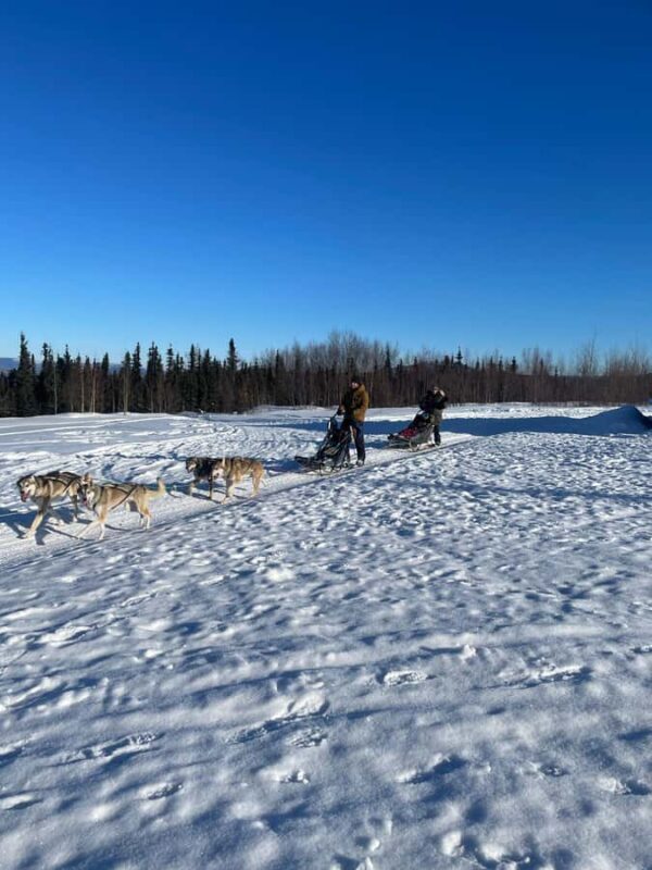 Fairbanks: 2-Hour Basic Dog Mushing School - Key Points