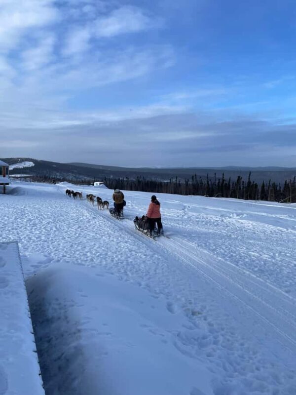 Fairbanks: 2-Hour Basic Dog Mushing School - The Sum Up: Is It Worth It?
