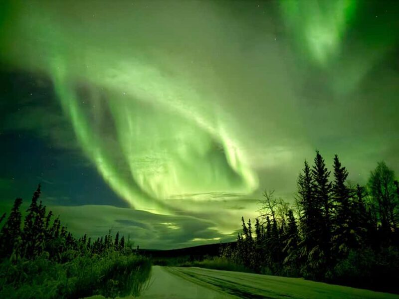Fairbanks: Arctic Circle Tour with Northern Lights Hunt - An Introduction to the Arctic Circle Tour