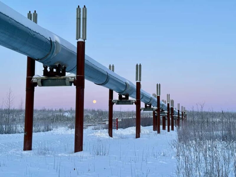 Fairbanks: Arctic Circle Tour with Northern Lights Hunt - The Experience: What Travelers Can Expect