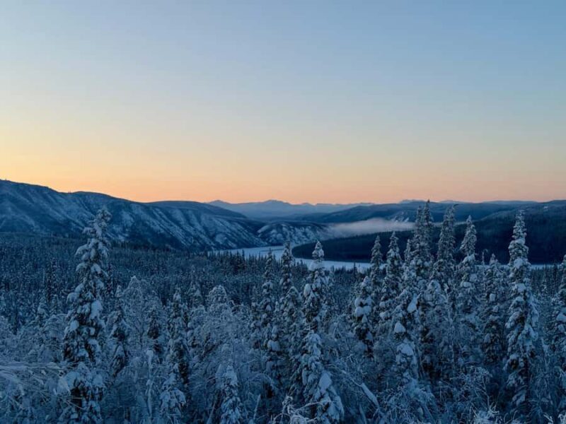 Fairbanks: Arctic Circle Tour with Northern Lights Hunt - Value and Cost Analysis