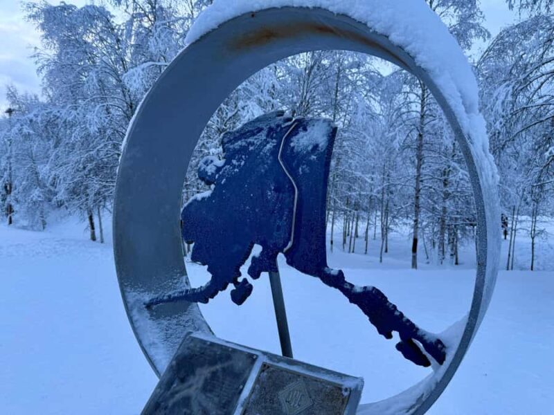 Fairbanks: Arctic Circle Tour with Northern Lights Hunt - Who Should Consider This Tour?