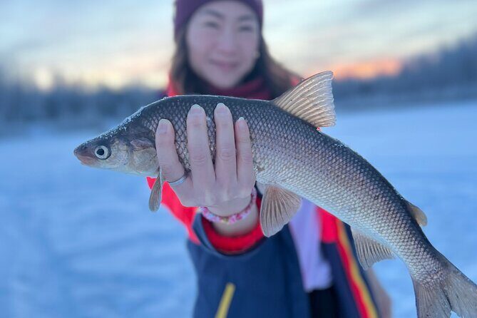 Fairbanks Aurora Viewing and Ice Fishing Tour - Key Points
