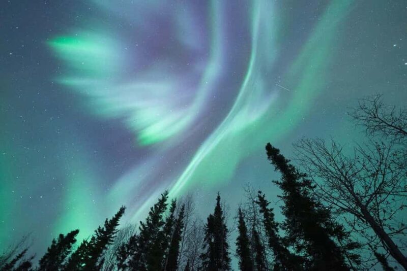 Fairbanks: Aurora Viewing Lodge - An In-Depth Look at the Aurora Viewing Lodge Tour