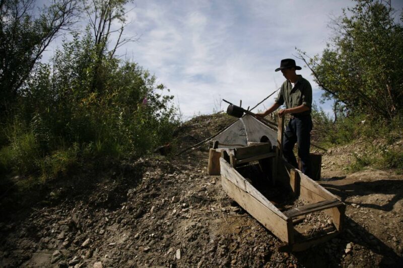 Fairbanks: Gold Dredge 8 Historic Train Tour - Practical Details and Value