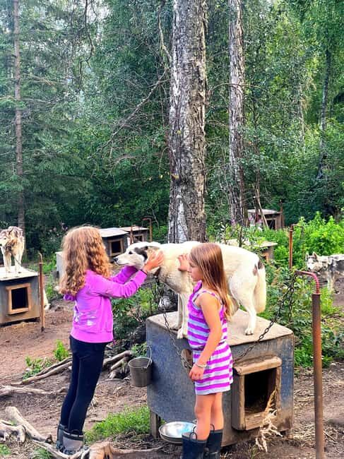 Fairbanks: Husky Hiking Tour - The Bottom Line