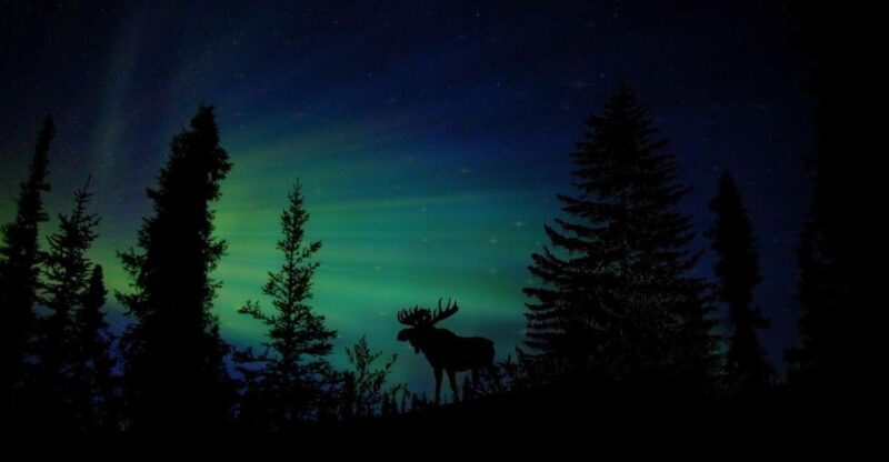 Fairbanks: Northern Lights and Chena Hot Springs Tour - Detailed Review of the Fairbanks Northern Lights and Chena Hot Springs Tour