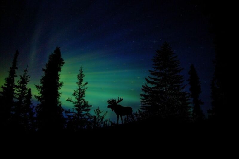 Fairbanks: Northern Lights and Chena Hot Springs Tour - Frequently Asked Questions
