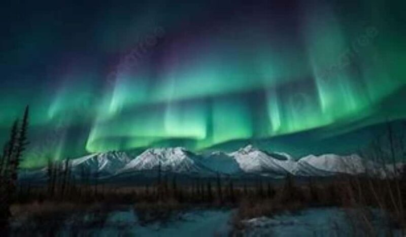 Fairbanks: Northern Lights & Arctic Circle Tour - FAQ