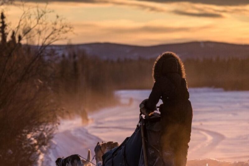 Fairbanks: Private Mush on the Historic Yukon Quest Trail - The Itinerary: What Makes This Tour Stand Out
