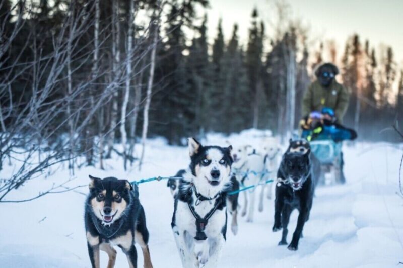 Fairbanks: Private Mush on the Historic Yukon Quest Trail - Key Points