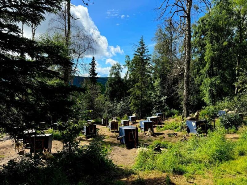 Fairbanks: Siberian Husky Kennel Tour - Who Should Book This Tour?