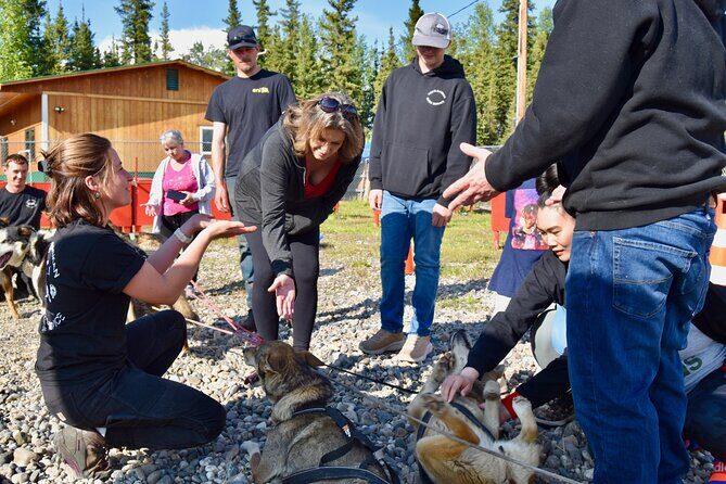 Fairbanks Sled Dog Adventure with Campfire & S'mores - What to Expect from the Fairbanks Sled Dog Adventure