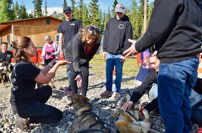 Fairbanks Sled Dog Adventure with Campfire & S'mores - Practical Considerations