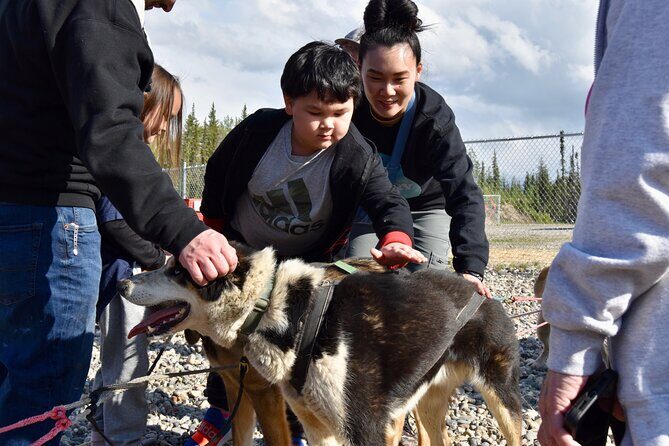 Fairbanks Sled Dog Adventure with Campfire & S'mores - Who Should Consider This Tour?