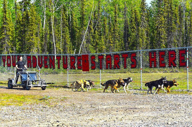 Fairbanks Sled Dog Adventure with Campfire & S'mores - The Sum Up