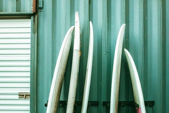 Fall Adventure Vancouver Island Grizzly Bears, High Tea and More - Discovering Vancouver Island in Fall: A Practical Guide