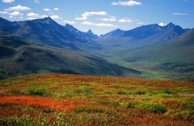 Fall Color Tour in Yukon from Whitehorse - Key Points