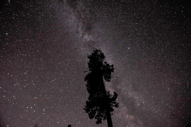 Fall Color Tour in Yukon from Whitehorse - Reviews: Voices from Past Travelers