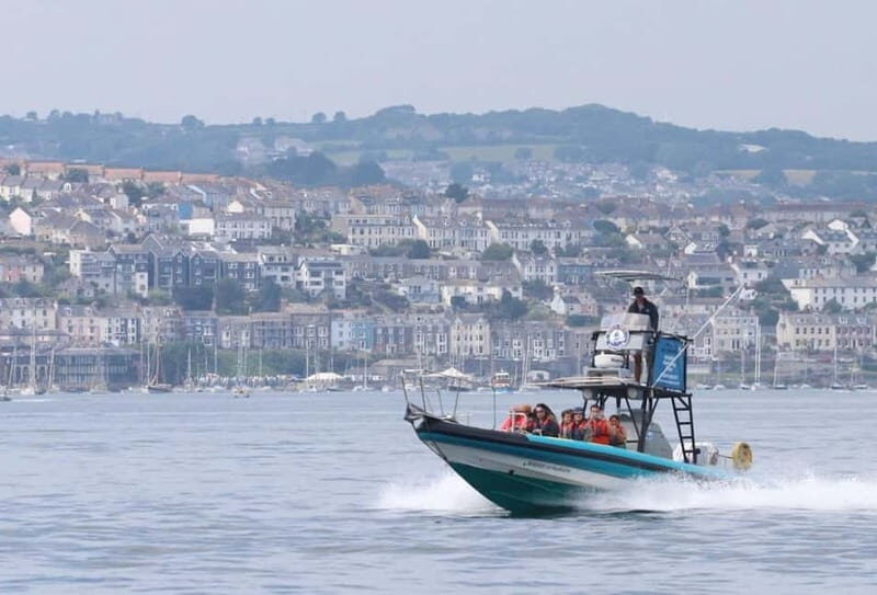 Falmouth: 2 Hour Wildlife Watching RIB Tour - Setting Sail from Falmouth: What to Expect