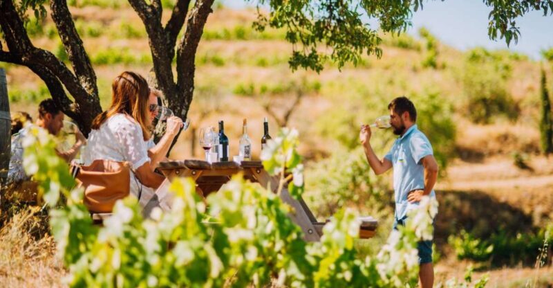 Falset: Guided Wine Tour to the Priorat by a Local - FAQ