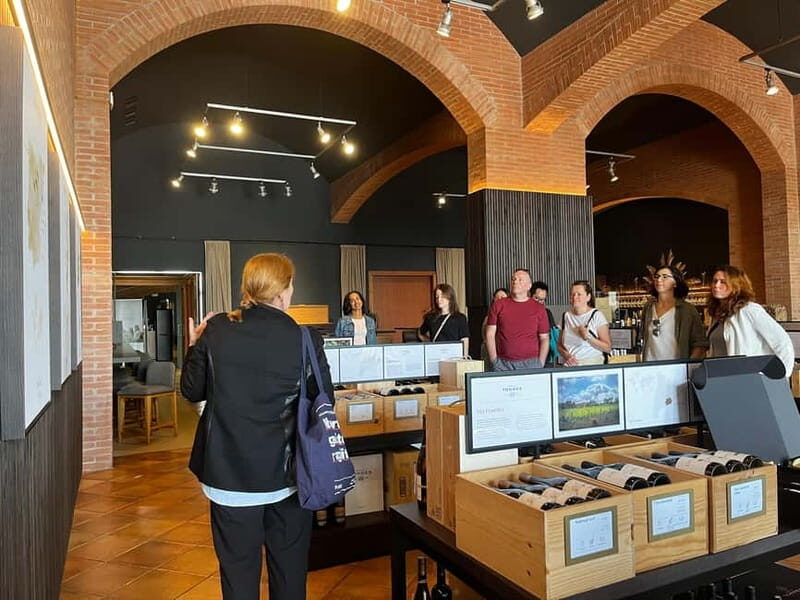 Familia Torres Winery: Gastronomic Tapas & Wine Experience - Who Is This Tour Best For?