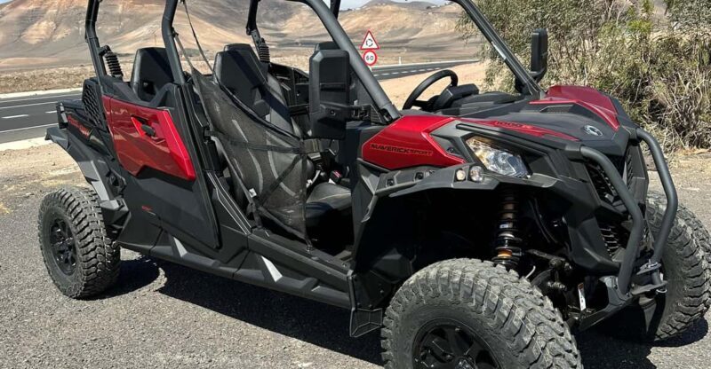 Family buggy - 4 seats, on road tour - What the Tour Entails