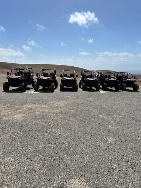 Family buggy - 4 seats, on road tour - Vehicle and Safety Features