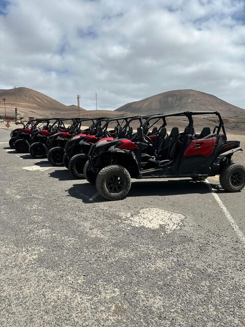 Family buggy - 4 seats, on road tour - What Reviewers Say