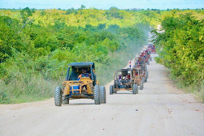 Family Buggy Adventure in Punta Cana  Up to 4 People per Vehicle - Who Should Consider This Tour?