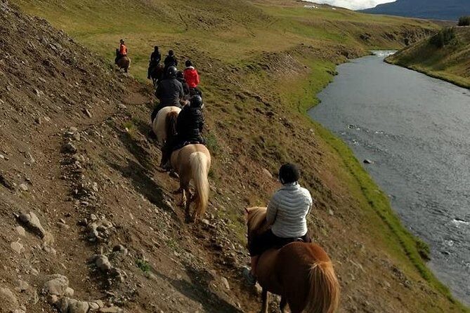 Family Friendly Horse Riding Tour in Skagafjörður - Summary of the Experience