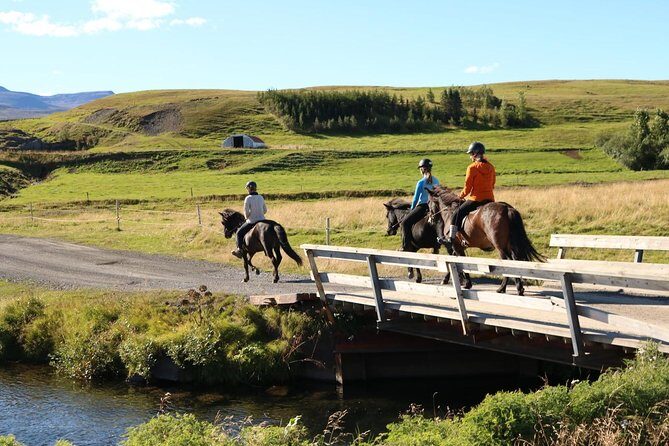 Family Friendly Horse Riding Tour in Skagafjörður - Who Is This Tour Best For?