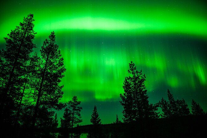 Family-Friendly: Northern Lights Adventure from Rovaniemi - FAQs