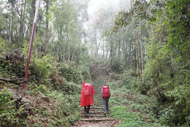 Family-Friendly Trekking: 3 Days Dhampus and Australian Camp - An In-Depth Look at the 3-Day Trekking Experience