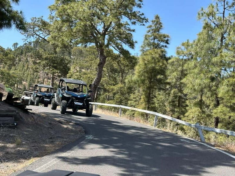 FAMILY FUN MONSTER BUGGY TOUR - Final Thoughts: Who Will Love This Tour?