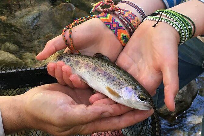 Family Fun Private Half Day Fly Fishing Adventure - An In-Depth Look at the Yosemite Fly Fishing Tour