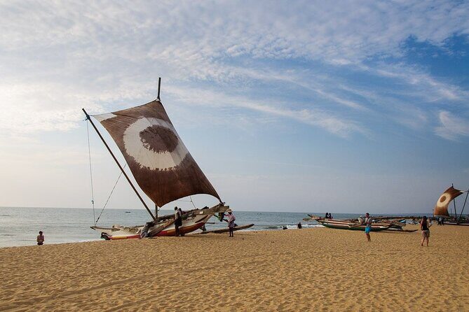 Family Holiday Tour in Sri Lanka - An In-Depth Look at the 10-Day Sri Lanka Family Tour
