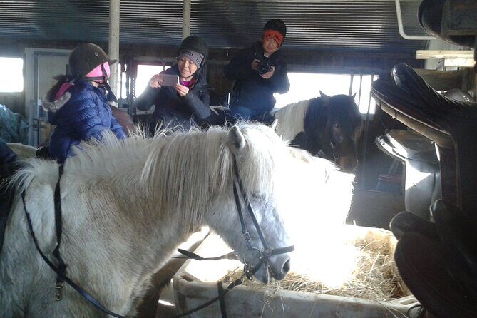Family Horse Riding Tour in Thorlakshofn - Exploring the Family Horse Riding Tour in Thorlakshofn: A Detailed Review