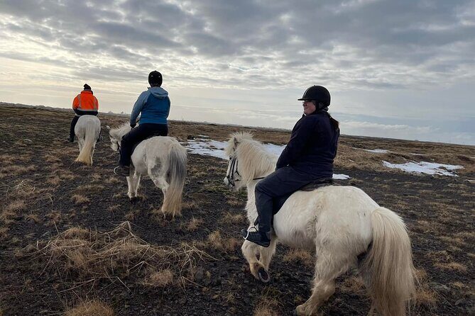 Family Horse Riding Tour in Thorlakshofn - Authentic Experiences from the Reviews