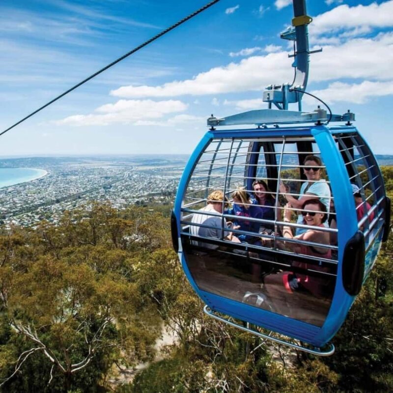 Family Lunch and Arthurs Seat Eagle for 2 Adults and 2 kids - An Overview of the Experience
