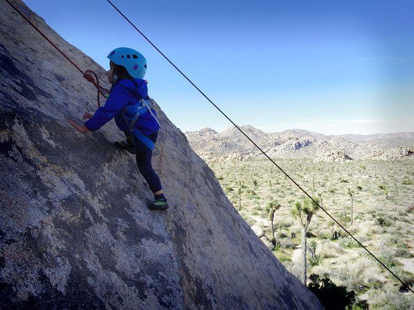 Family Rock Climbing Trips in Joshua Tree National Park (6 Hours) - Why Families Love This Experience