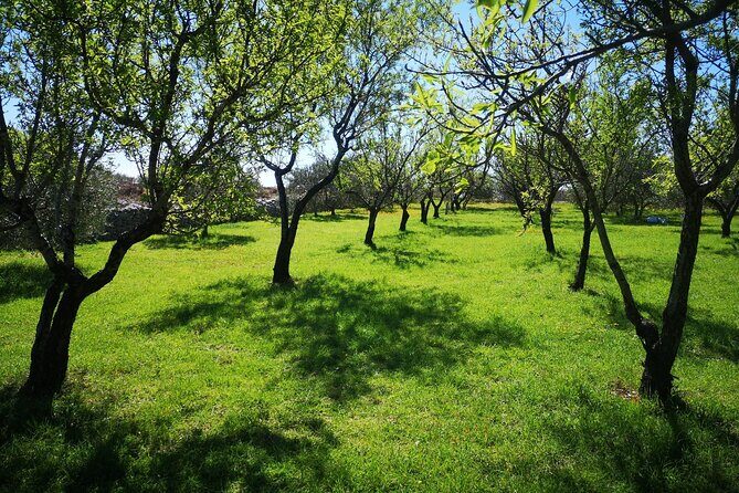 Family-run Vineyard Tour & Award Winning Wine Tasting/Delicacies - Final Thoughts & Who Should Book