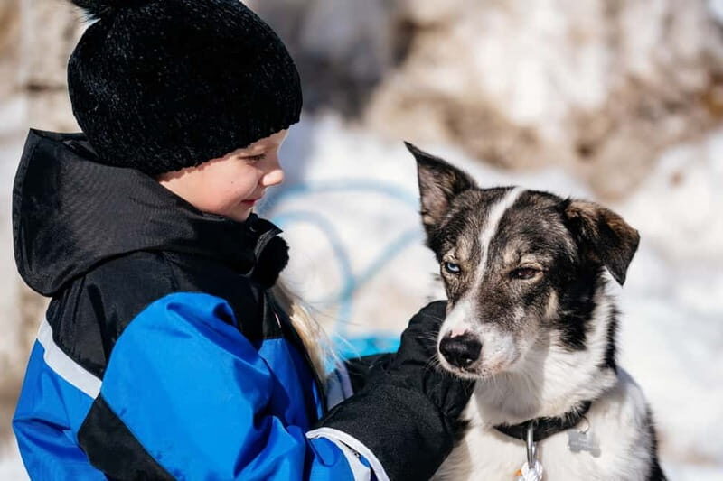 Family Snow Fun with Huskies, Reindeer, Mini Scooters, Lunch - Starting Your Day: Pickup and Arrival